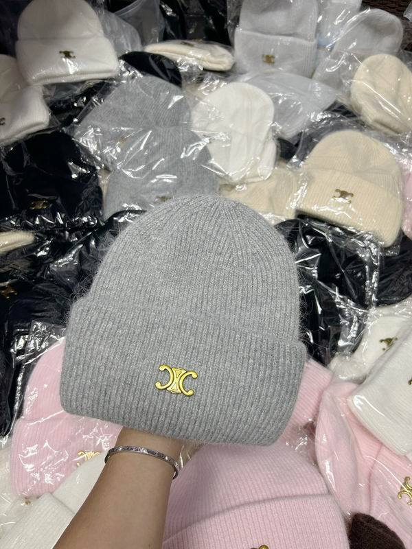 Celine Hats AAA-1151