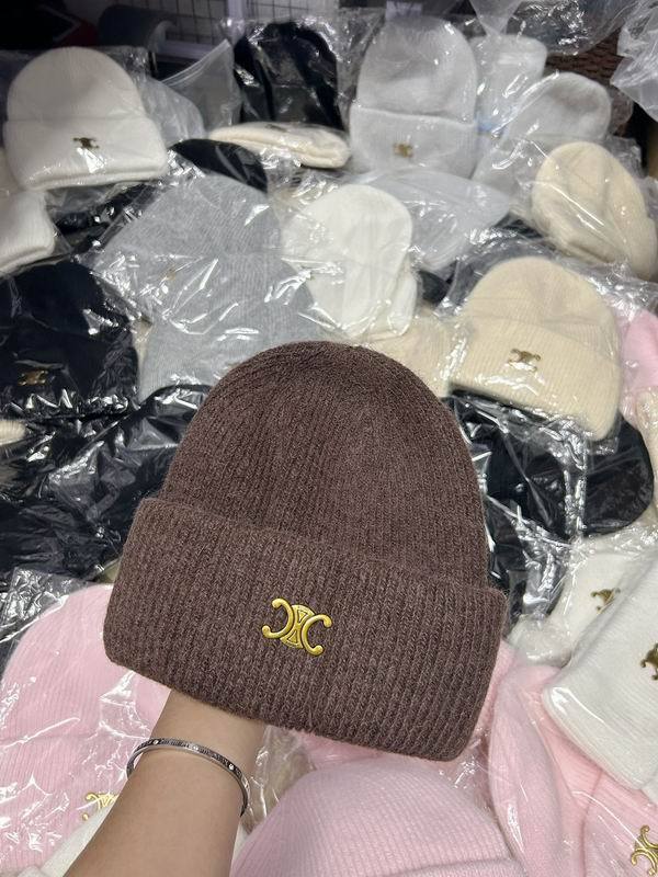 Celine Hats AAA-1154