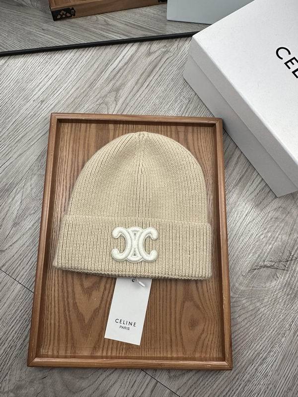 Celine Hats AAA-1099