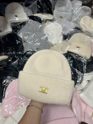 Celine Hats AAA-1148