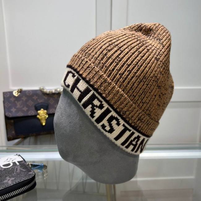 Dior Hats AAA-1369