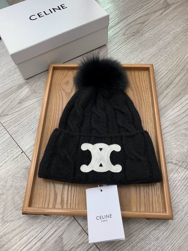 Celine Hats AAA-1397
