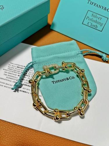 Tiffany Bracelet-254