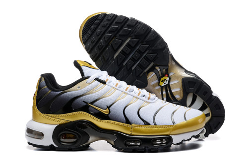 Nike Air Max TN Plus men shoes-1832