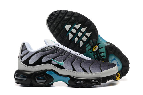 Nike Air Max TN Plus men shoes-1851