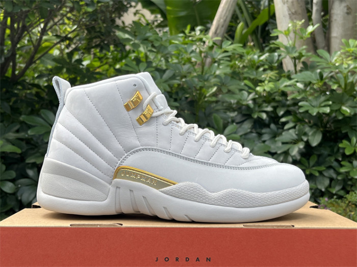 Authentic  Air Jordan 12 “Phantom”