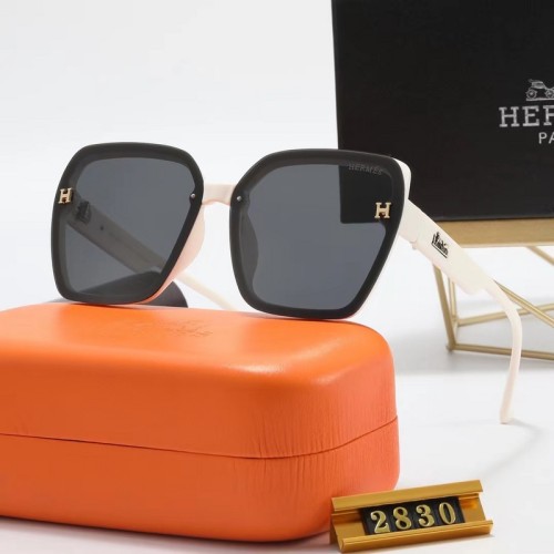 Hermes Sunglasses AAA-043