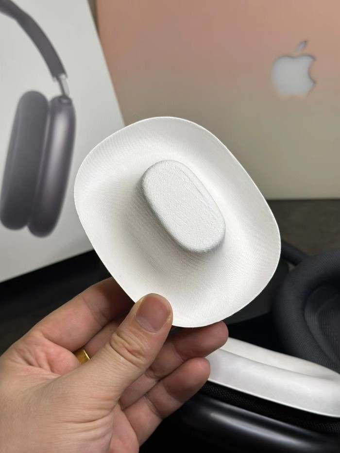 Air Pods MaX in