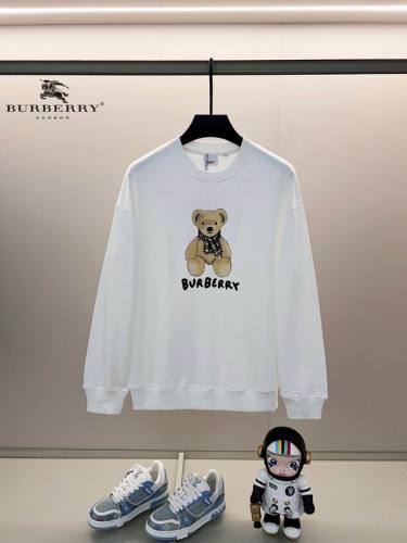 Burberry men Hoodies-1618(XS-L)