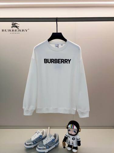 Burberry men Hoodies-1616(XS-L)