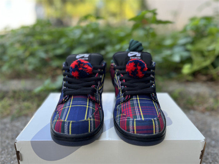 Authentic Nardwuar's Nike SB Dunk Low