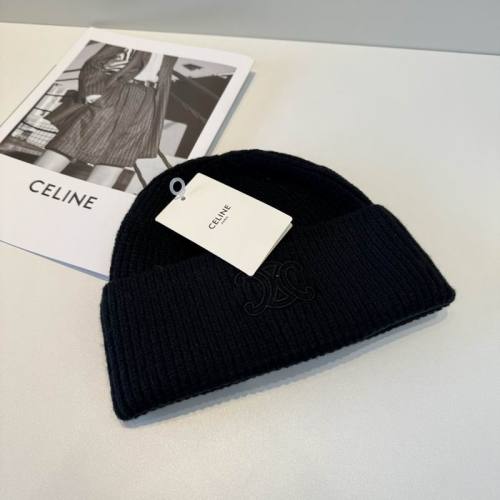 Celine Hats AAA-1472