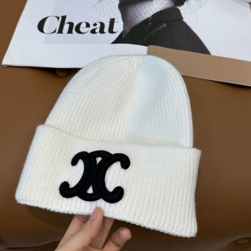 Celine Hats AAA-1698