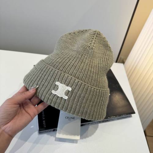 Celine Hats AAA-1692