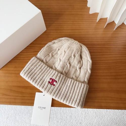 Celine Hats AAA-1685