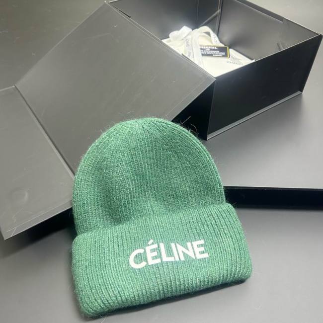 Celine Hats AAA-1671