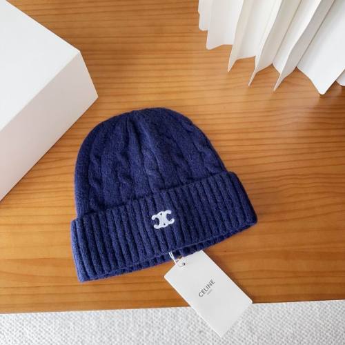 Celine Hats AAA-1480