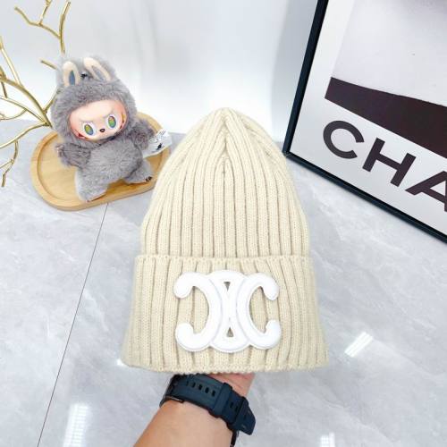 Celine Hats AAA-1713