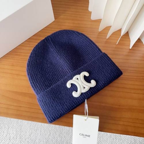Celine Hats AAA-1599