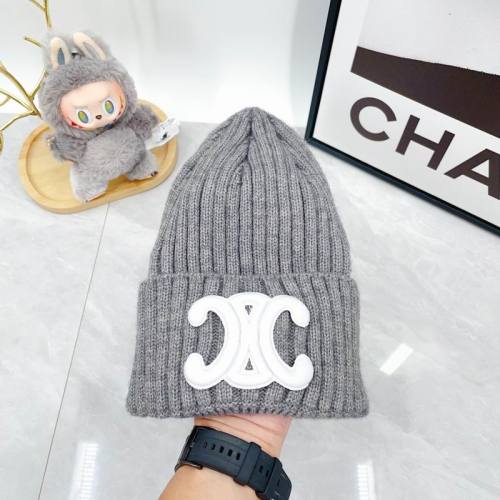 Celine Hats AAA-1711