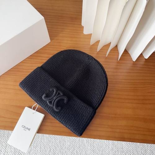 Celine Hats AAA-1589