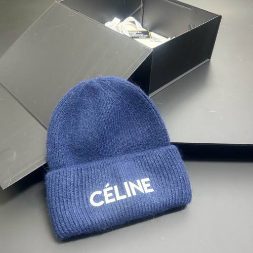 Celine Hats AAA-1649