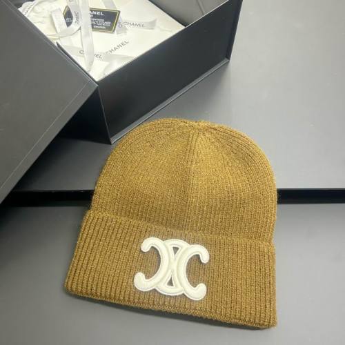 Celine Hats AAA-1538