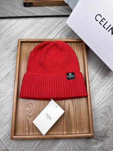 Celine Hats AAA-1549