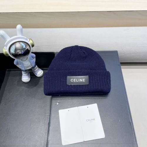 Celine Hats AAA-1499