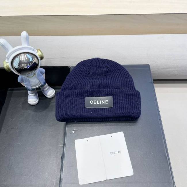Celine Hats AAA-1499