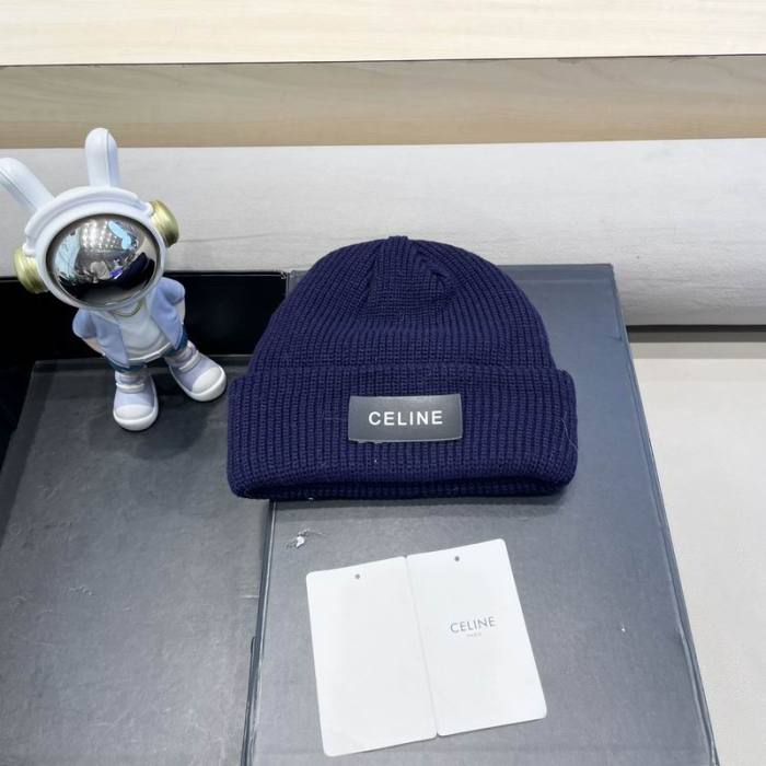 Celine Hats AAA-1499