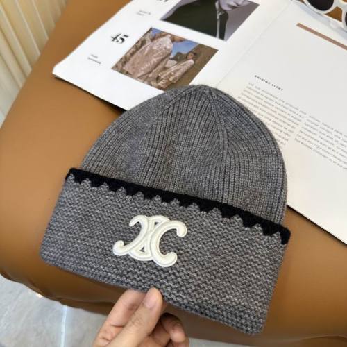 Celine Hats AAA-1681