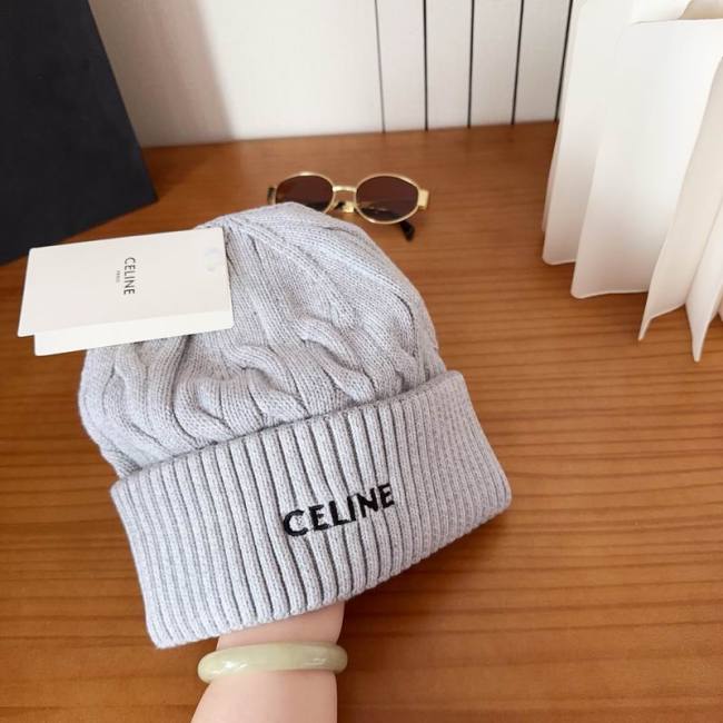 Celine Hats AAA-1670