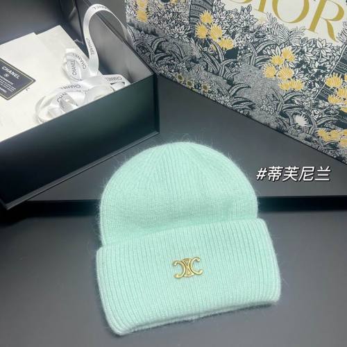 Celine Hats AAA-1609
