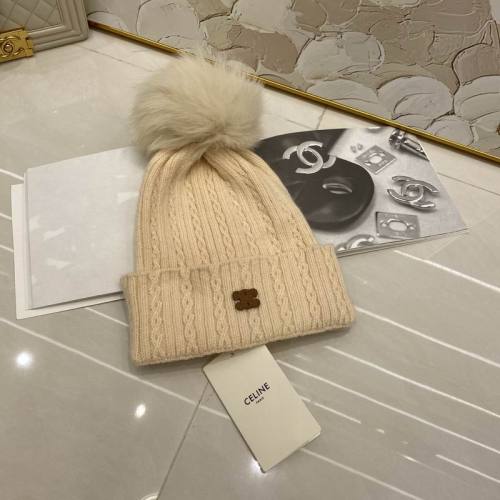 Celine Hats AAA-1464