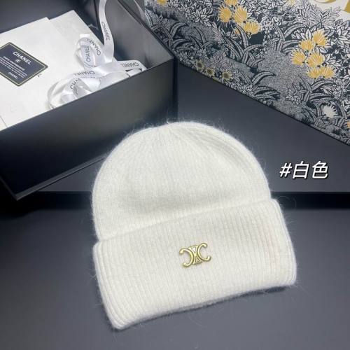 Celine Hats AAA-1602