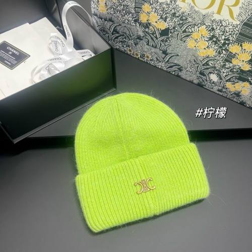 Celine Hats AAA-1629
