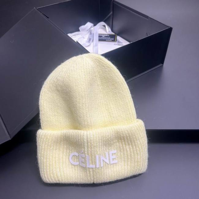 Celine Hats AAA-1642