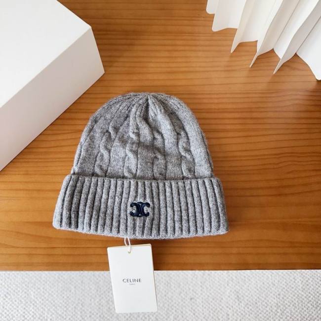Celine Hats AAA-1479