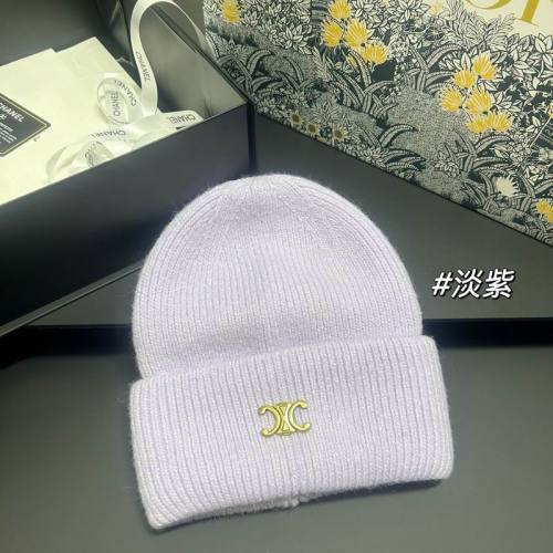 Celine Hats AAA-1600