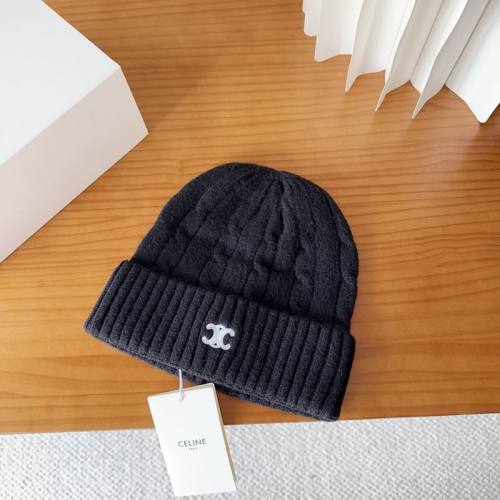 Celine Hats AAA-1684