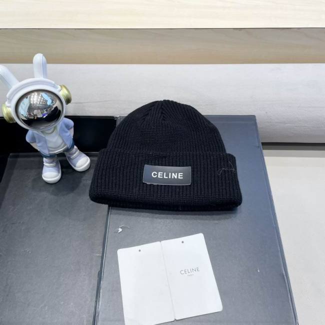 Celine Hats AAA-1500