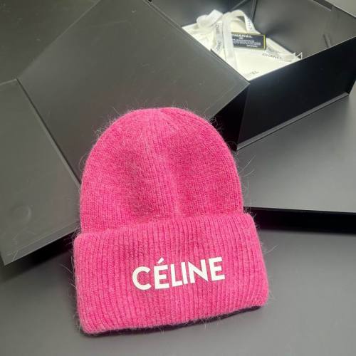 Celine Hats AAA-1669