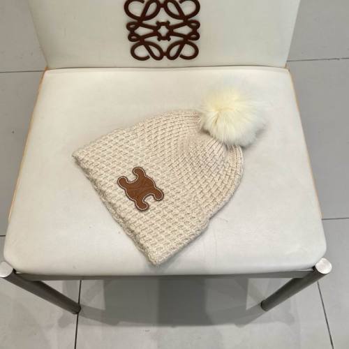 Celine Hats AAA-1507