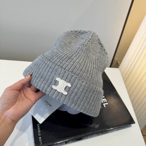 Celine Hats AAA-1696