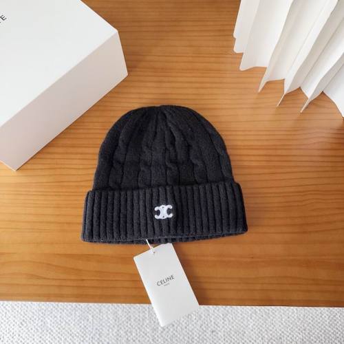 Celine Hats AAA-1474