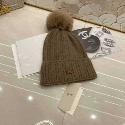 Celine Hats AAA-1462
