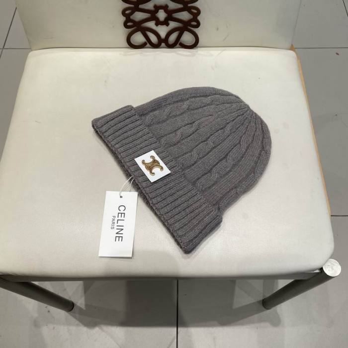 Celine Hats AAA-1502