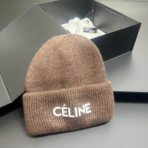 Celine Hats AAA-1668
