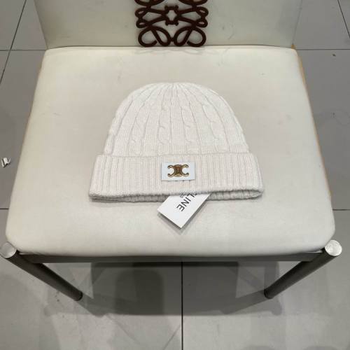 Celine Hats AAA-1504